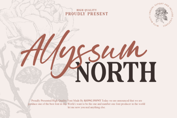 Allyssum North: Where Handwritten Charm Meets Digital Versatility