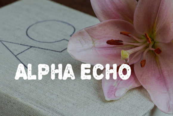 Alpha Echo: When Typography Breaks the Mold—And Why Designers Keep Coming Back