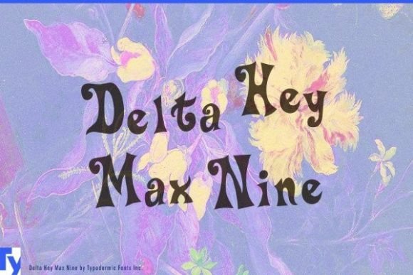 Delta Hey Max Nine: Playful Retro Display Font