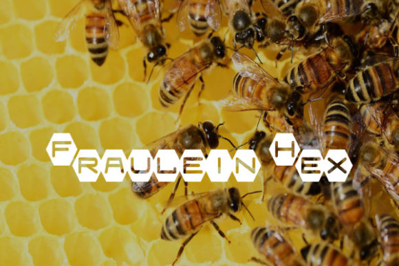 Fraulein Hex: Hexagonal Charm, Modern Clarity