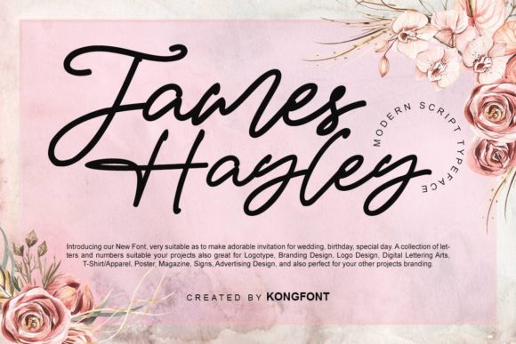 James Hayley: Where Hand-Drawn Charm Meets Professional Versatility
