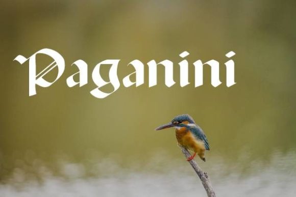 Paganini: A Gothic Blackletter Font That Commands Attention